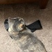 My Sock!