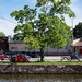Canalside camping