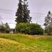   Cut and Uncut --No Mow Day 16