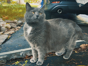16th May 2025 - Her Highness Mishka