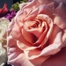 16may