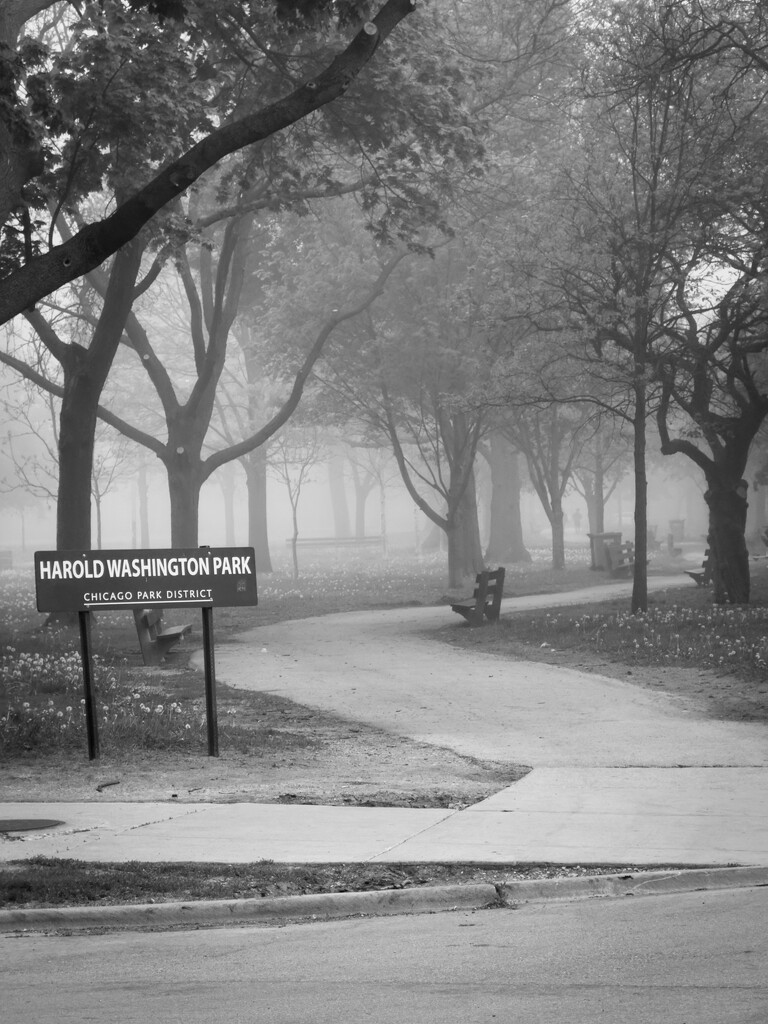 Lost in the Fog by pictorialnarrative