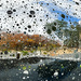 reflected landscape