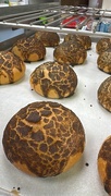 15th May 2025 - Playing around with Tiger bread