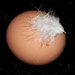 feather light