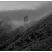 Misty and Moody...