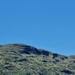 more blue and green