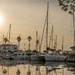 Late Afternoon by seacreature