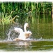 Bathtime
