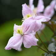 17th May 2025 - 503