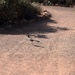 Running