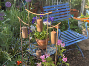 17th May 2025 - Blue chair