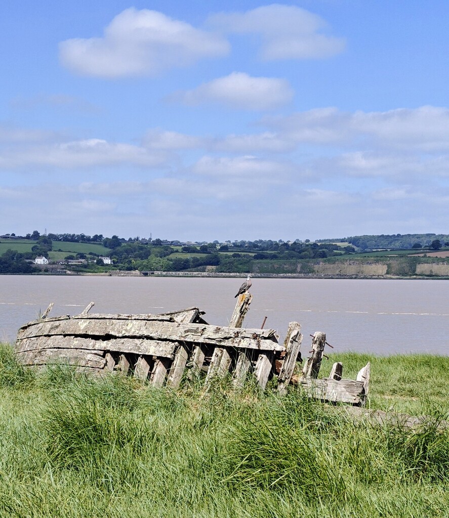 Purton hulks by nickrh14