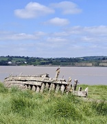 17th May 2025 - Purton hulks