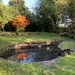 Other grandmas garden! 