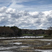 River Delta