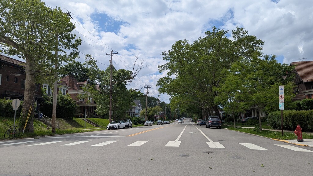 Street View  by julie