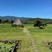 In the rice fields. 