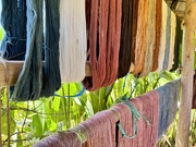 10th May 2025 - Natural colors. 