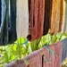 Natural colors. 