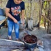 Dyeing in the making. 