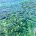 Cristal clear water. 