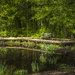 Close up - Bench at pond