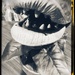feed me…