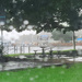 The Rain is Back