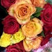 Hardware Roses