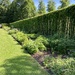 Herbaceous Garden 