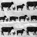 Wrapping Paper