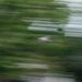 Outtake of Flying Pan...