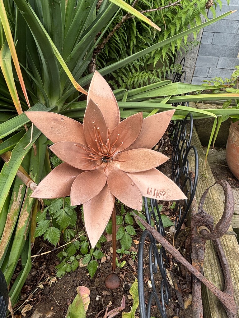 Copper Lily by alliw