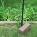 Brick and Squirrel