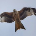 Low Kite