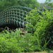 Overgrown