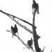 Turkey Vultures