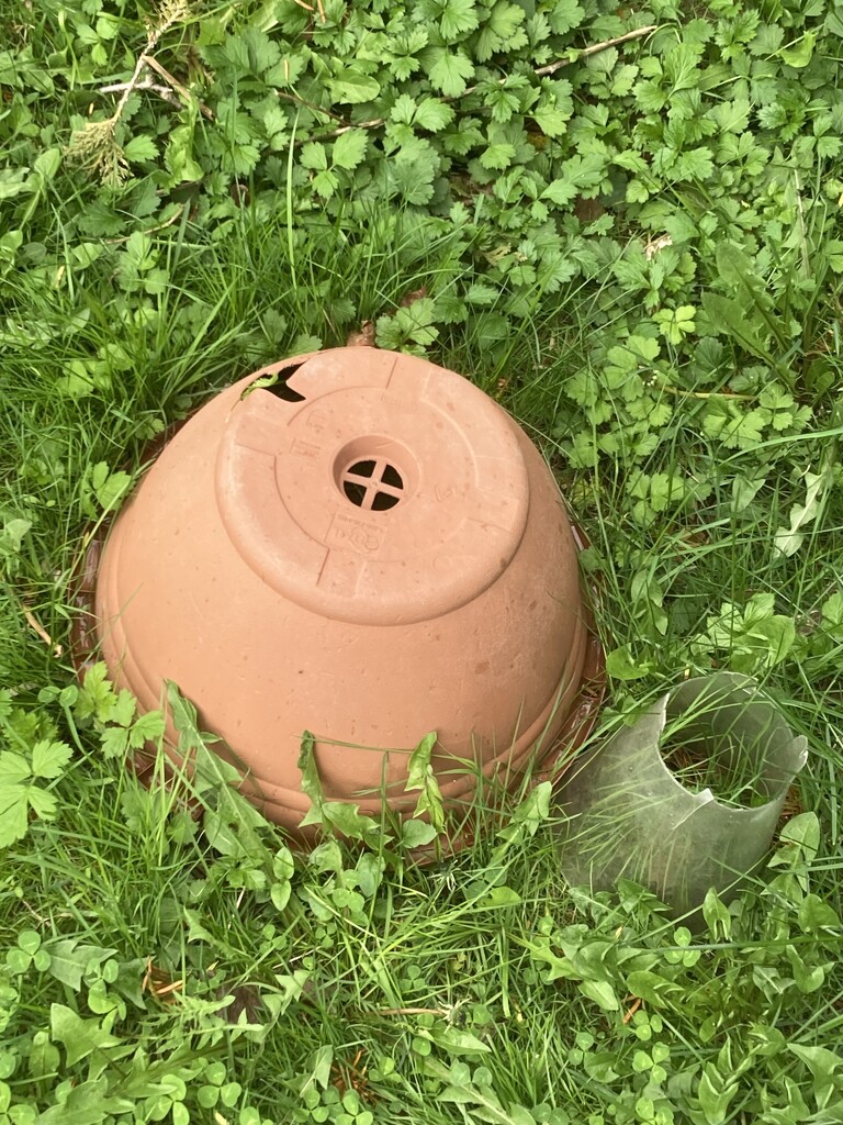 Broken Stuff on my Lawn by spanishliz