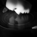the pensieve