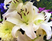 19th May 2025 - Beautiful Lily From My Bouquet ~