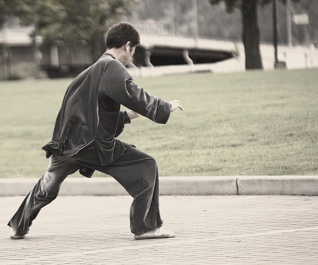 KELOWNA DRAGON TAI-CHI by jerzyfotos
