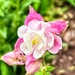 18may