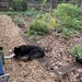 Hanging out in the garden