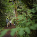 Family Hike