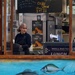 Fish Shop Assistant