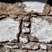 house wall