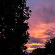 19th May 2025 - Sunrise 