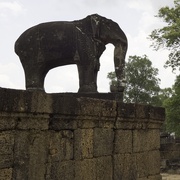 19th May 2025 - Standing Guard P4223311