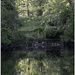 Evening Reflections
